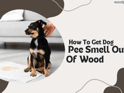 How To Get Dog Pee Smell Out Of Wood