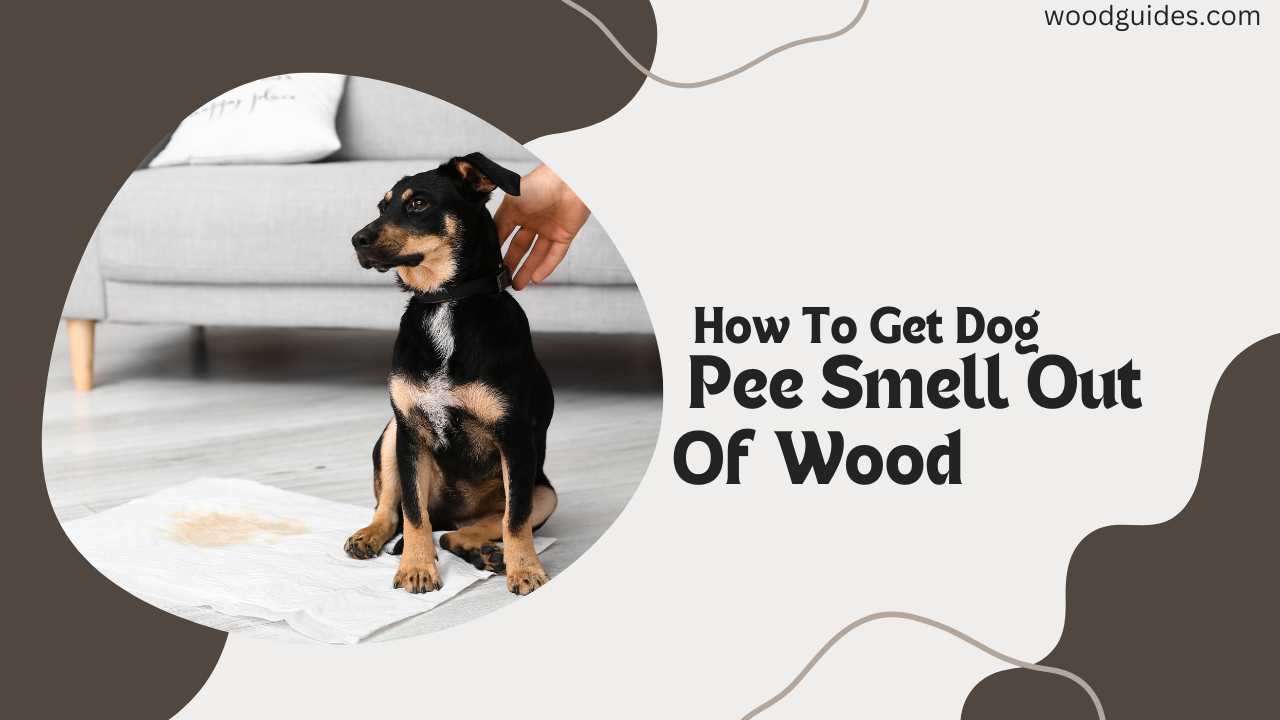 How To Get Dog Pee Smell Out Of Wood