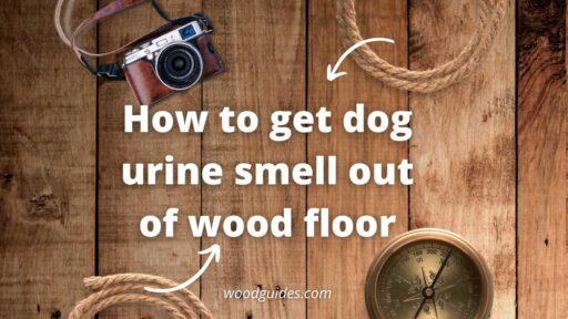 How to get dog urine smell out of wood floor