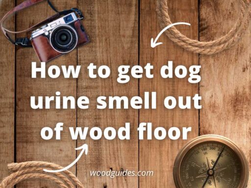 How to get dog urine smell out of wood floor