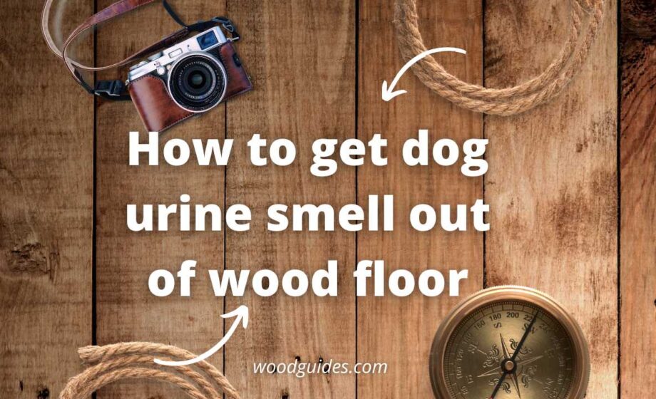 How to get dog urine smell out of wood floor