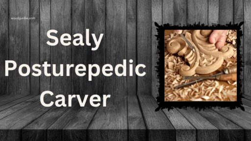 Sealy Posturepedic Carver