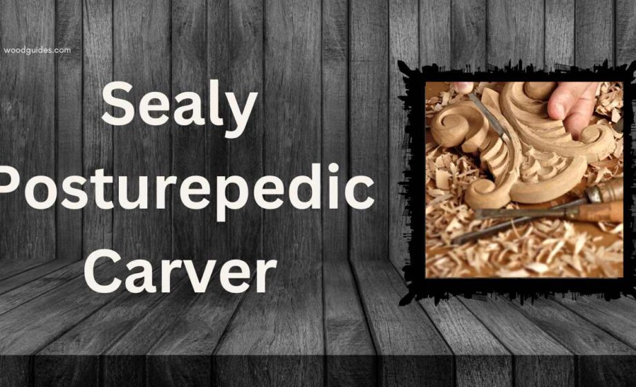 Sealy Posturepedic Carver