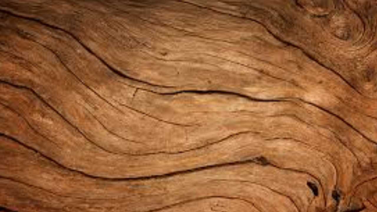Wood Texture Zoom Virtual Background (3)